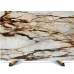 Calacatta Foresta Marble Slabs